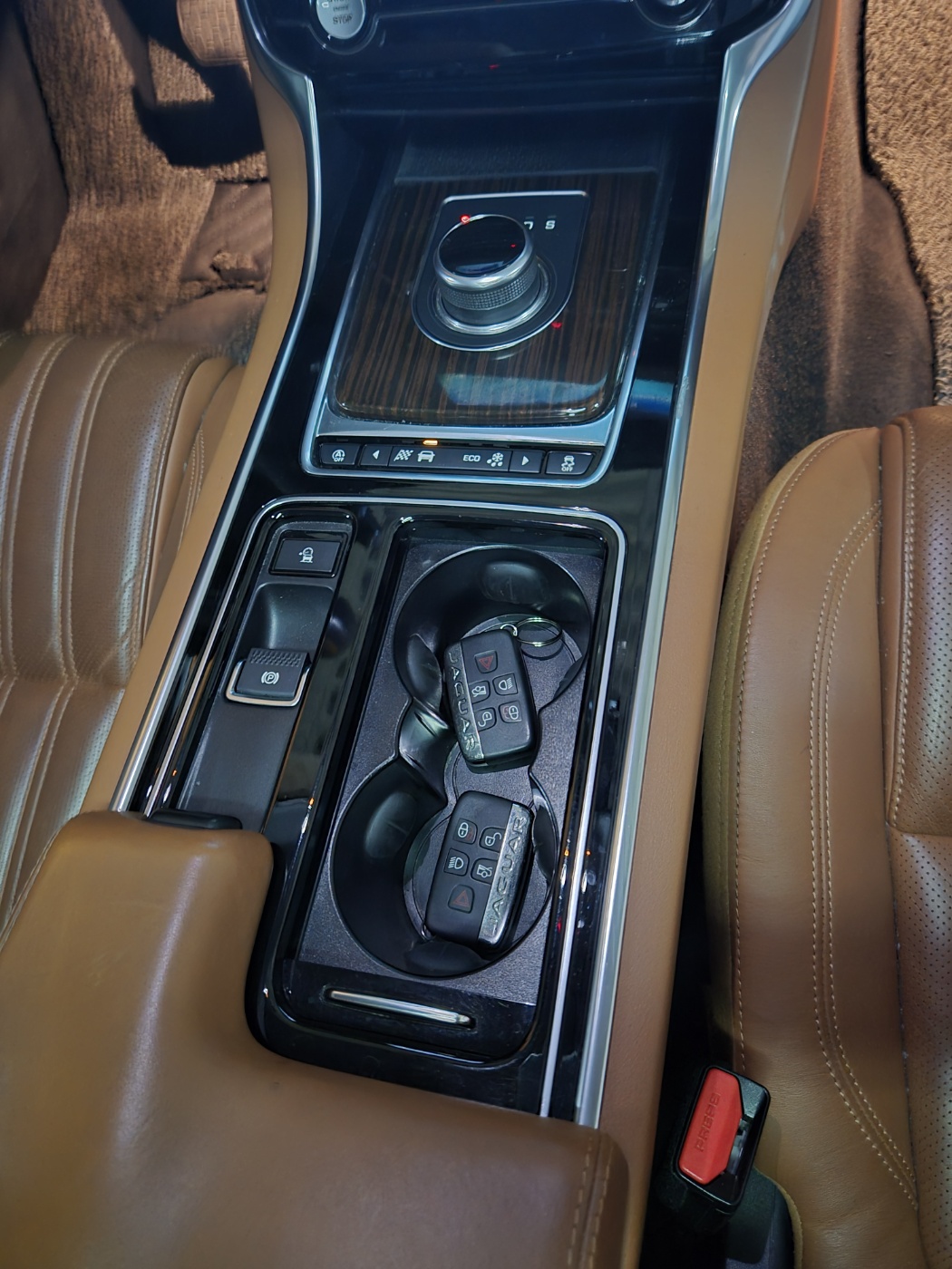59luz9qm38ro970913.jpg